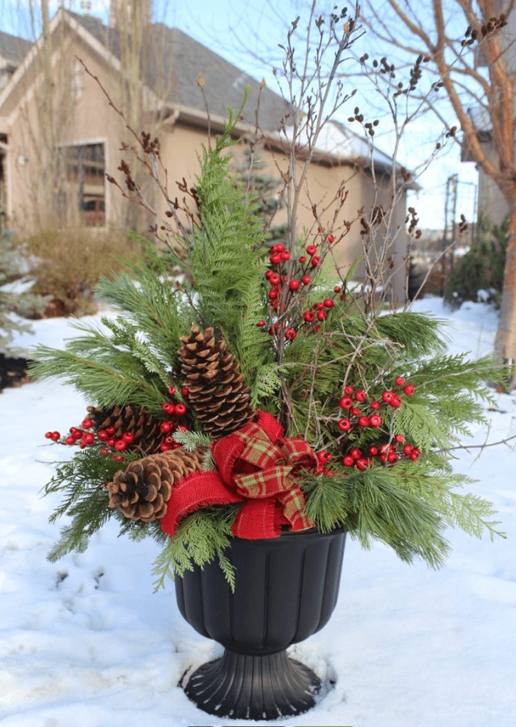 outdoor christmas flowers