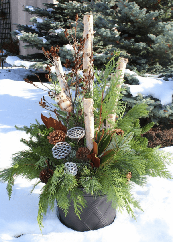 Rustic Birch and Evergreen Planter