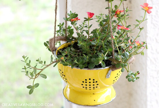 Floral DIY Colander Plantter