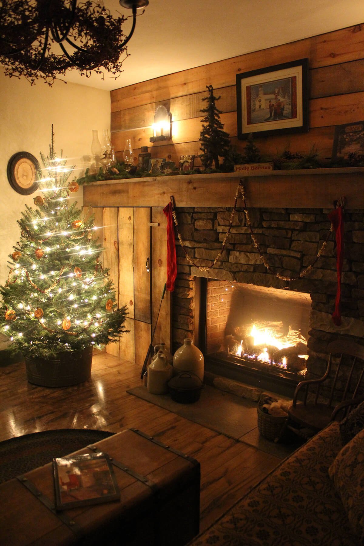 Tree in a Bucket in Rustic Room