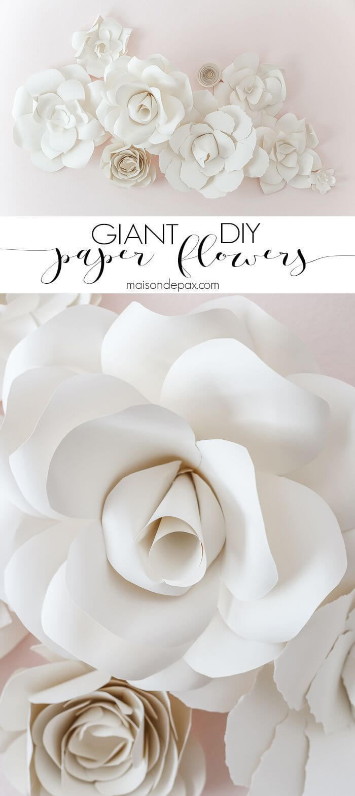 DIY Giant Flower Paper Decor Crafts