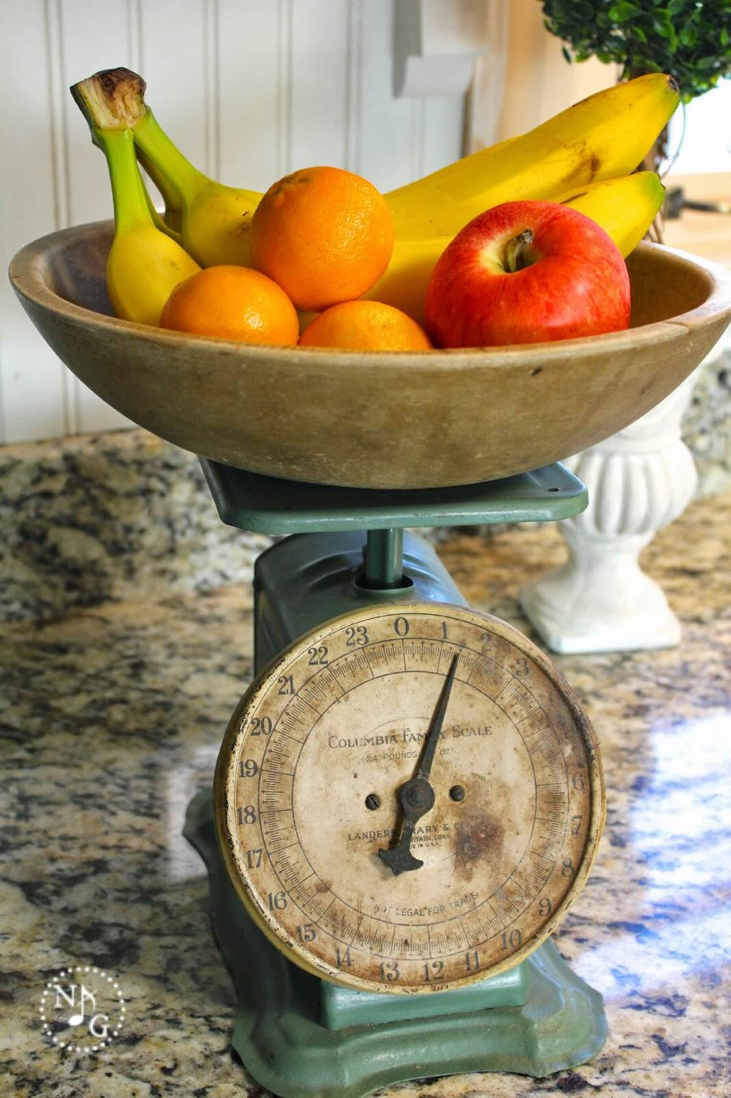 Functional Food Scale Fruit Bowl