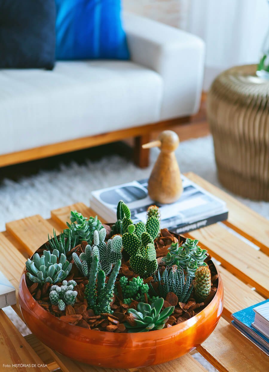 Fairy Garden with Cacti and Succulents