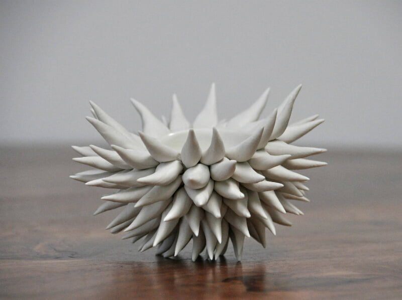 Spiky Sea Urchin Porcelain Accessory Bowl