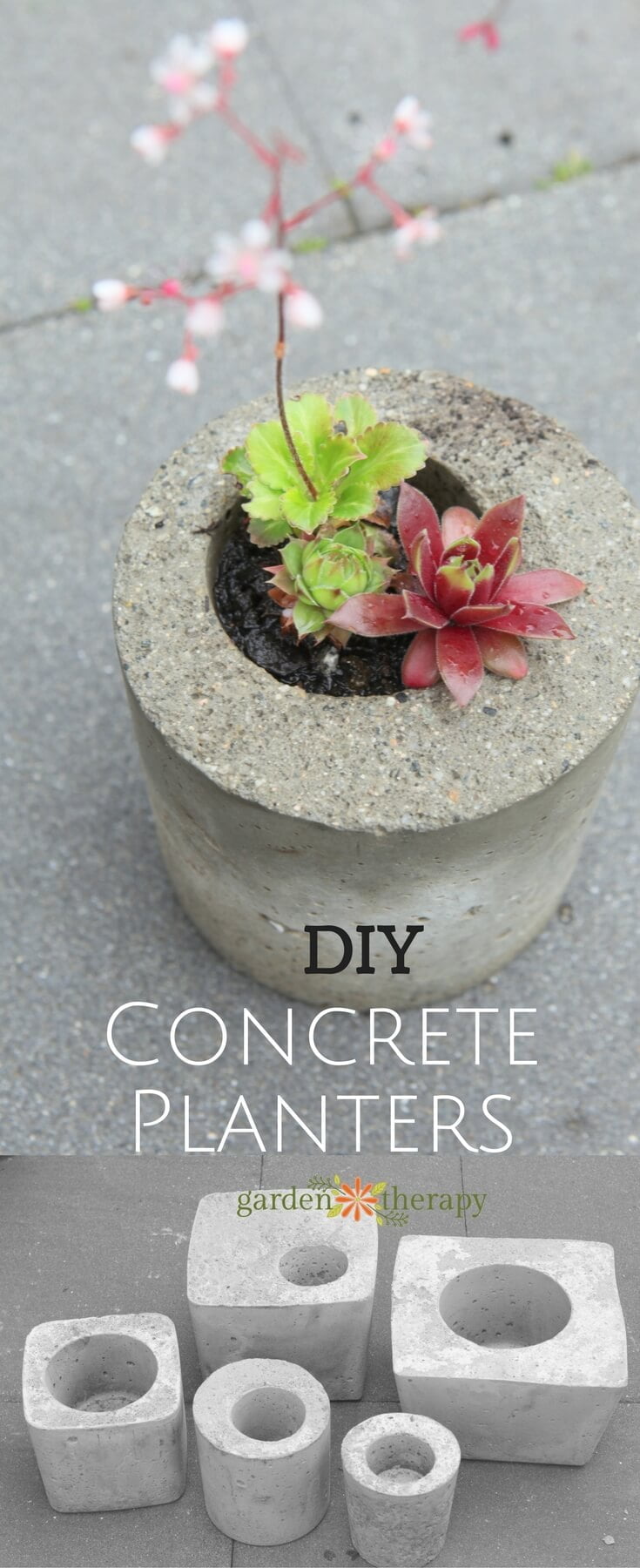 Mini DIY Backyard Concrete Planters