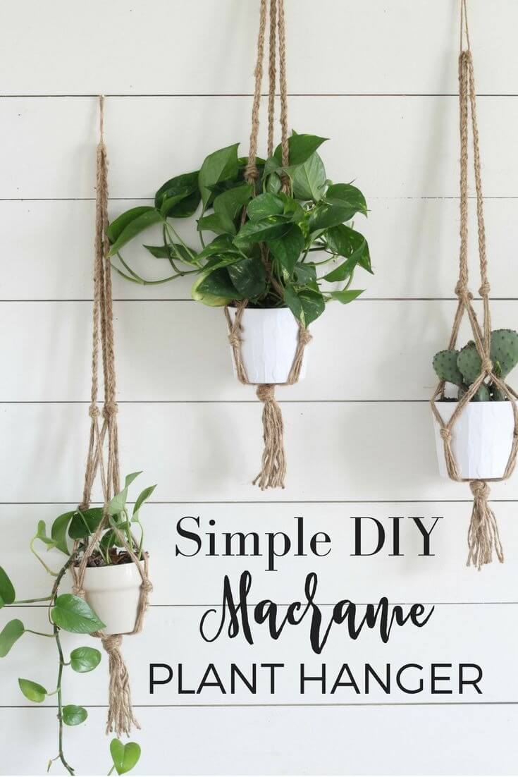 DIY Macrame Plant Holder Wall Hanging