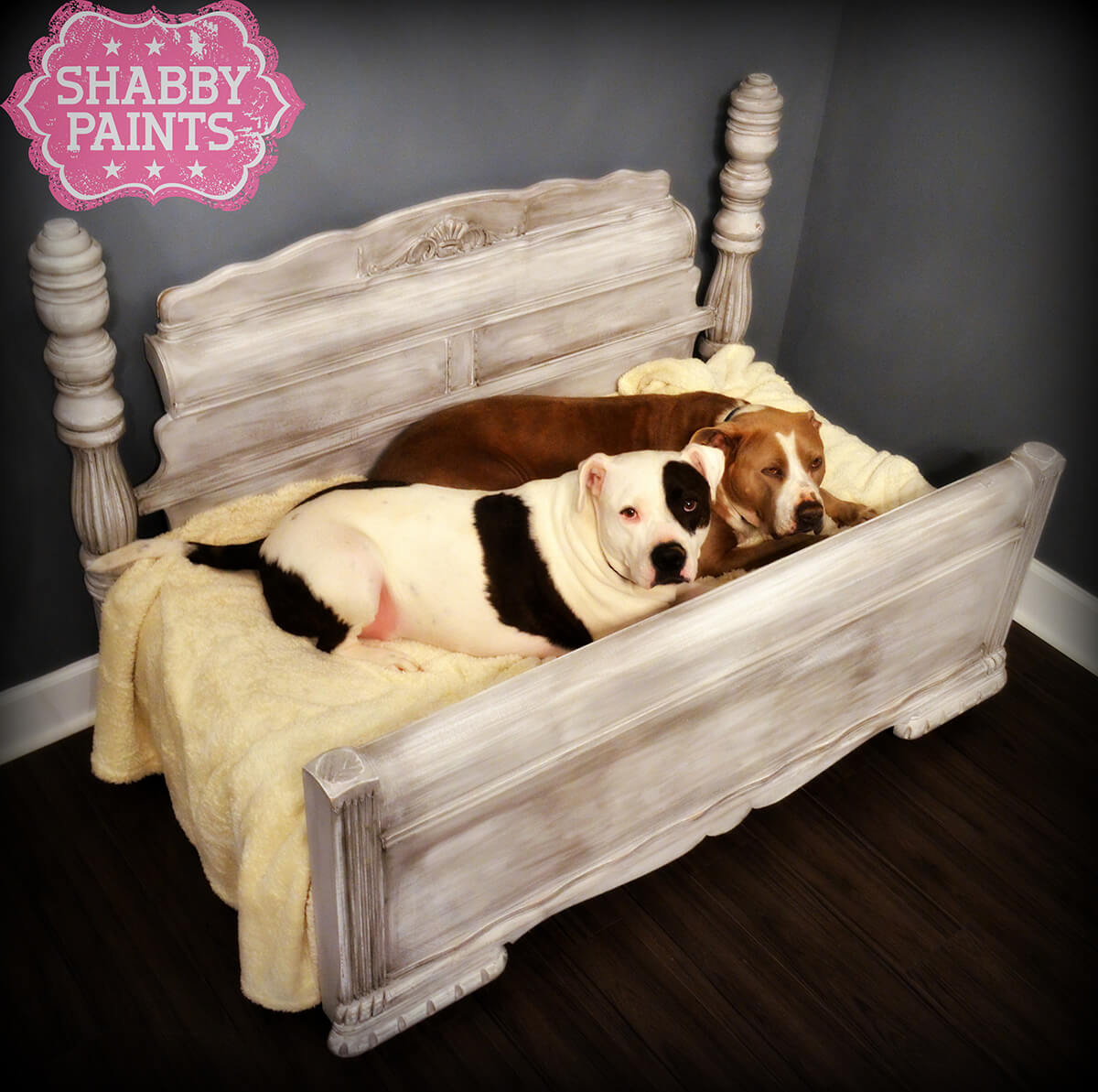 Adorable Pet Bed for Your Furry Friends