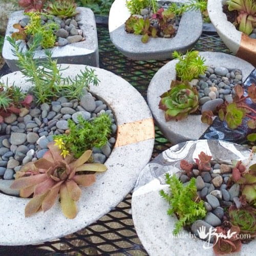 Large Concrete Planter Fairy Garden DIY