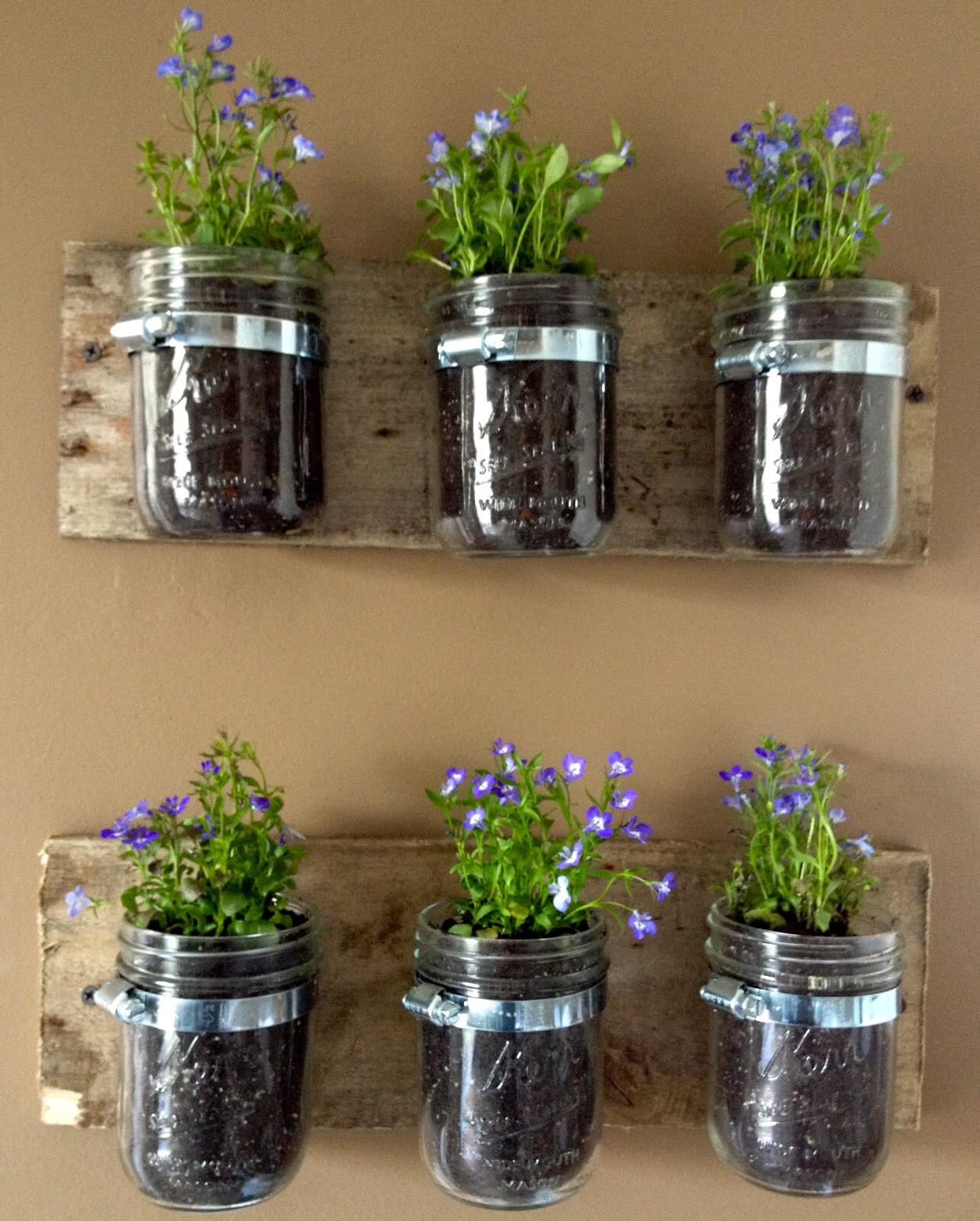 Hanging Mason Jars with Growing Flowers