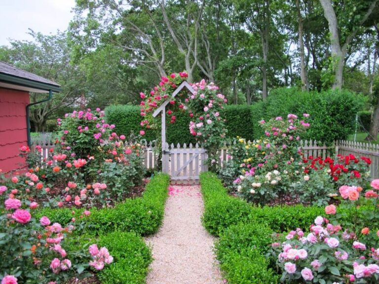 46 Cottage Garden Ideas For A Blissful Yard 