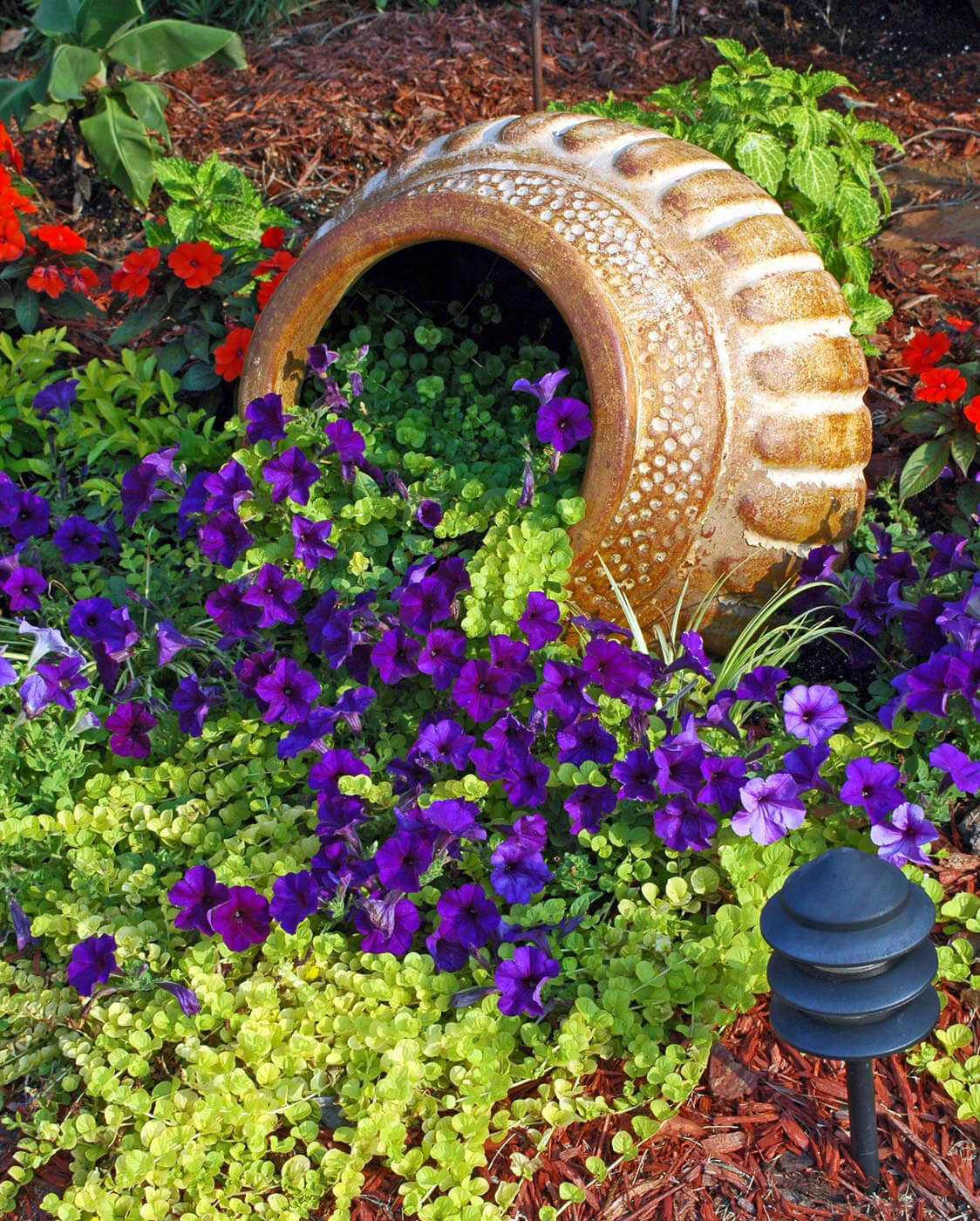 Petunias Flowing From a Planter