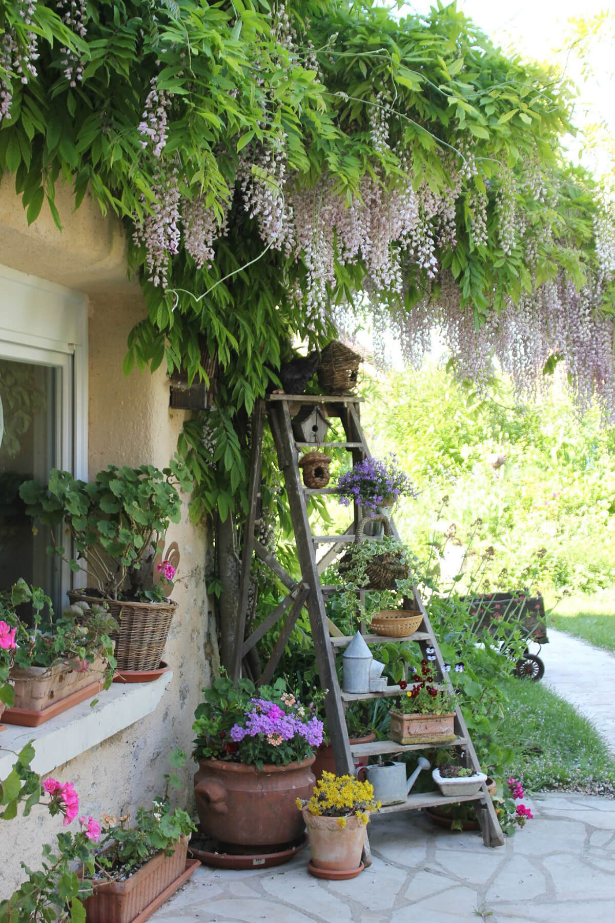 Ladder Plant Stand with Birdhouses