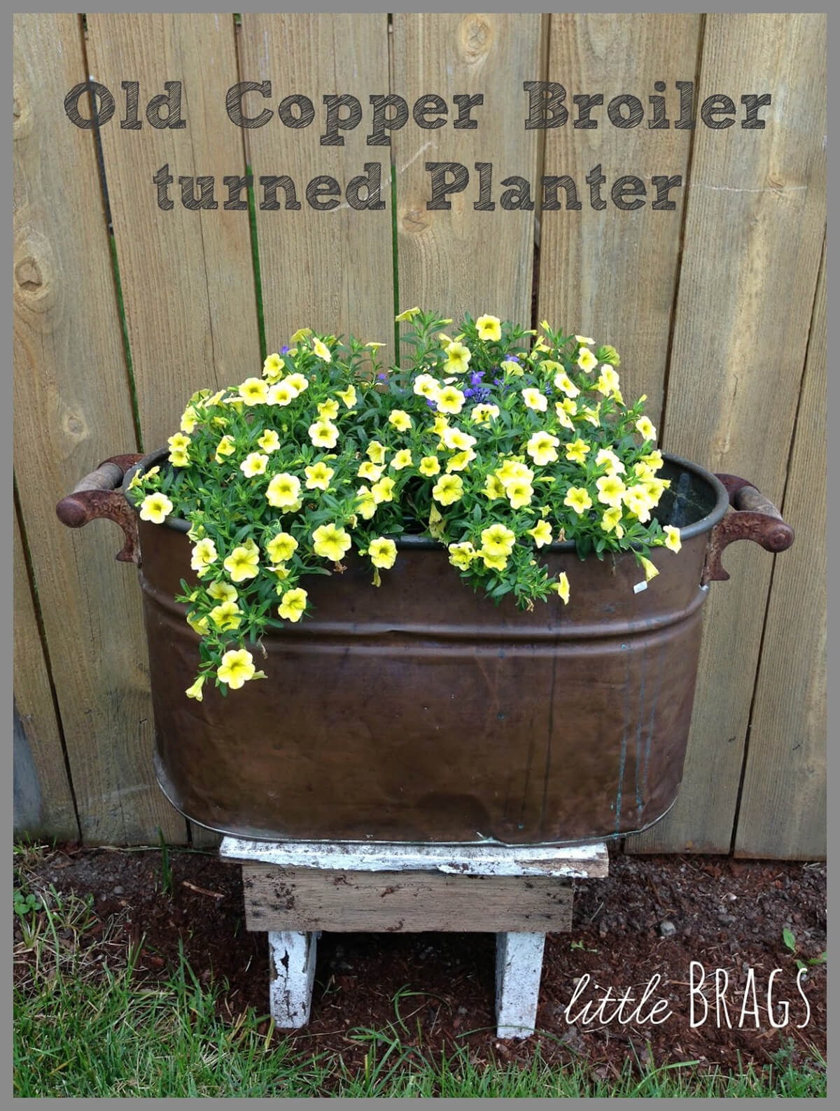 Vintage Boiler with Blooming Petunias