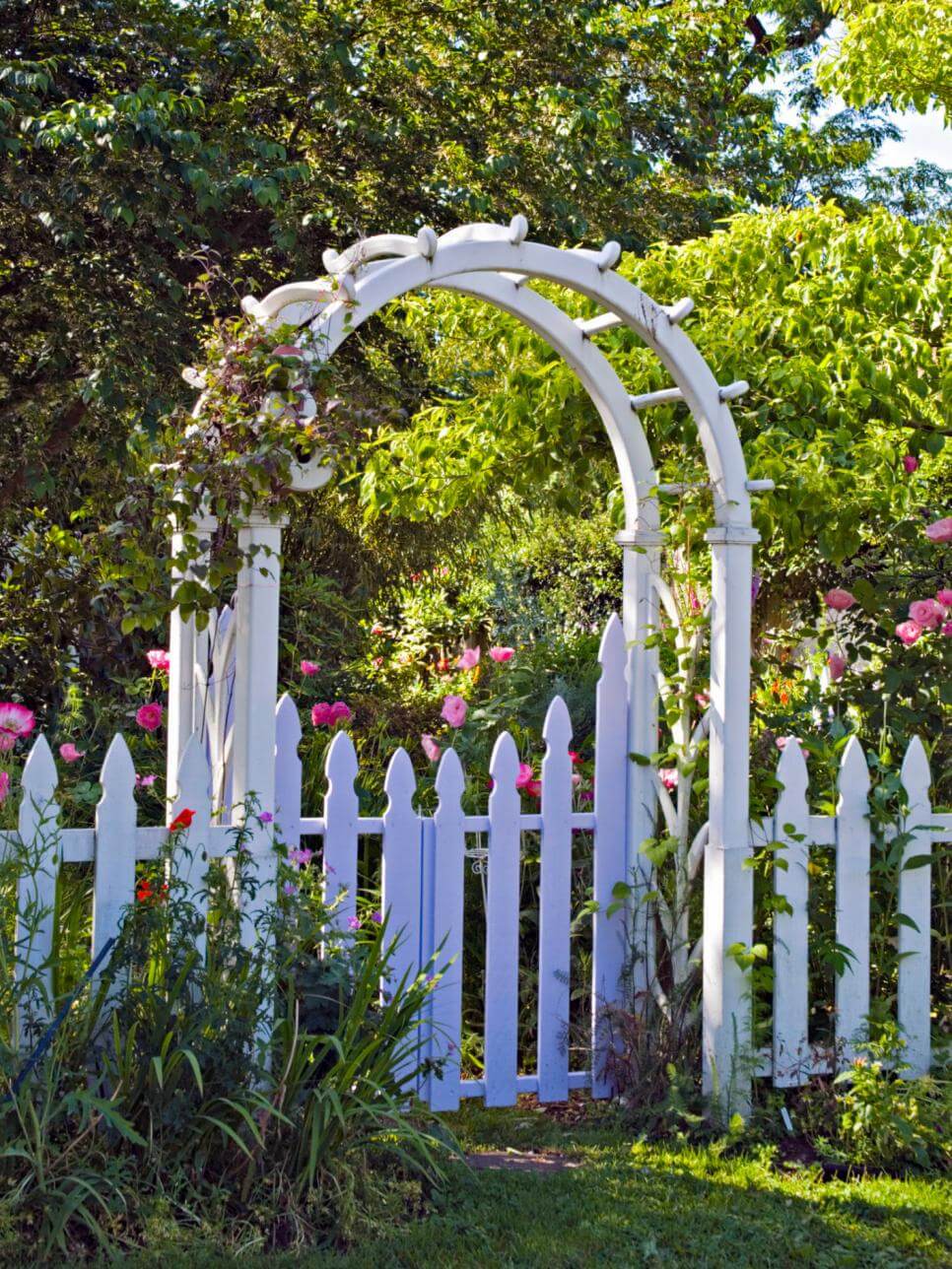 White Picket Fence with Arch