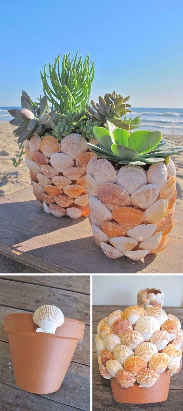 Shell Covered Seaside Plant Displays