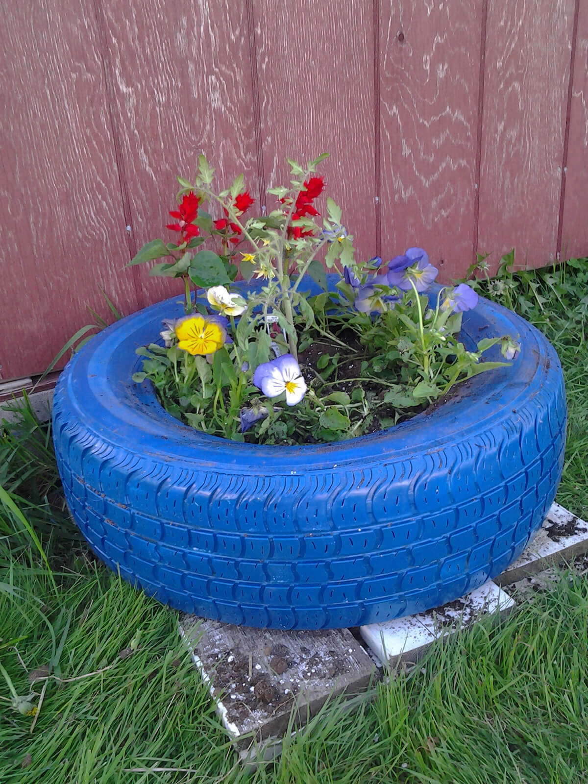 Painted Old Tires with Pansies
