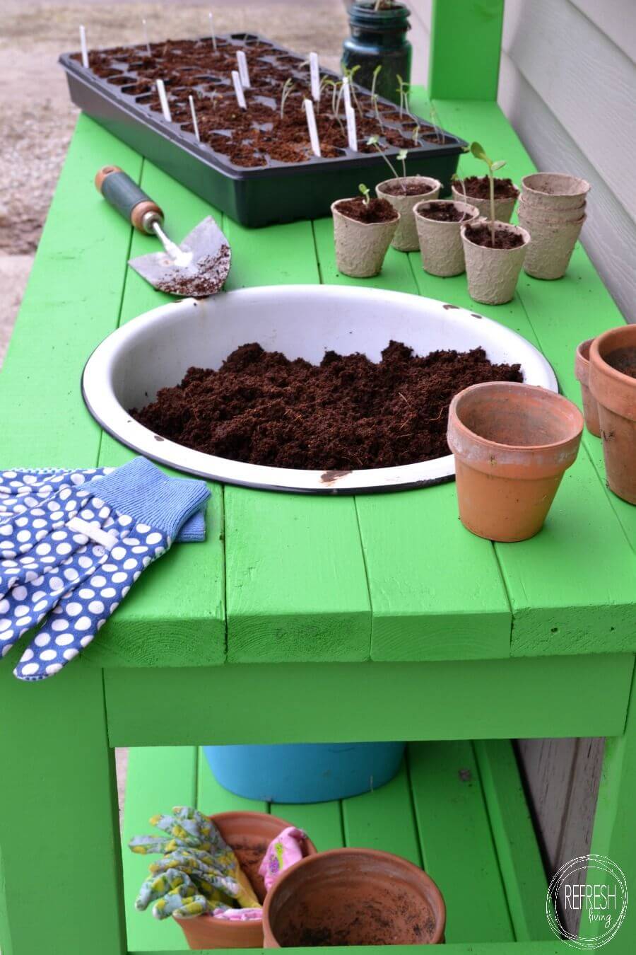 How to Pot Your Own Seedlings
