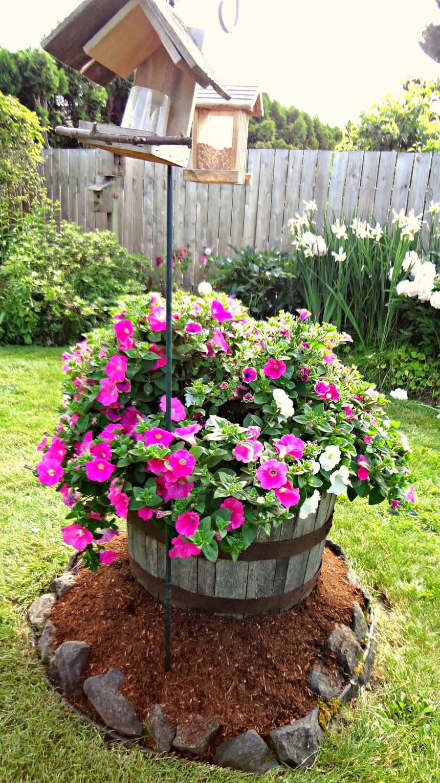 Barrel of Petunias by the Bird Feeder