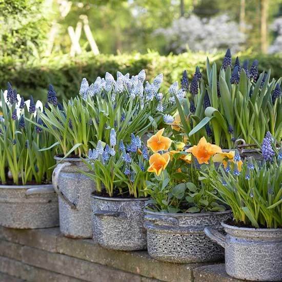 Old Pots and Pans as Planters
