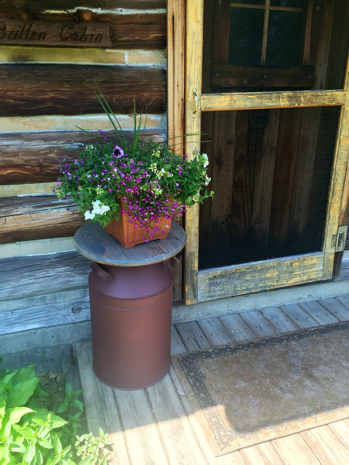 Metal Milk Jug Table With Potted Flowers