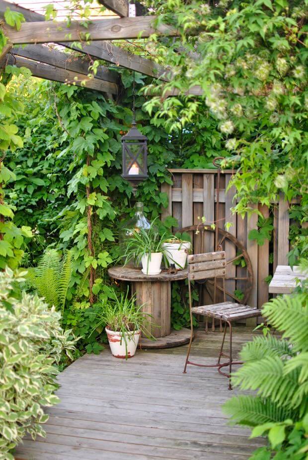 Shady Garden Dining Corner with Vines