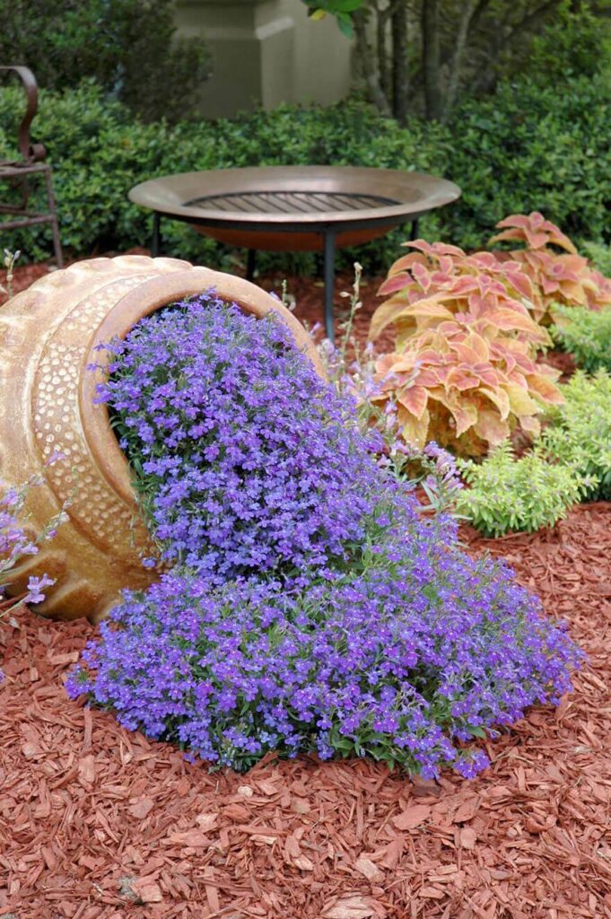 22 Best Spilled Flower Pot Ideas and Designs for 2024