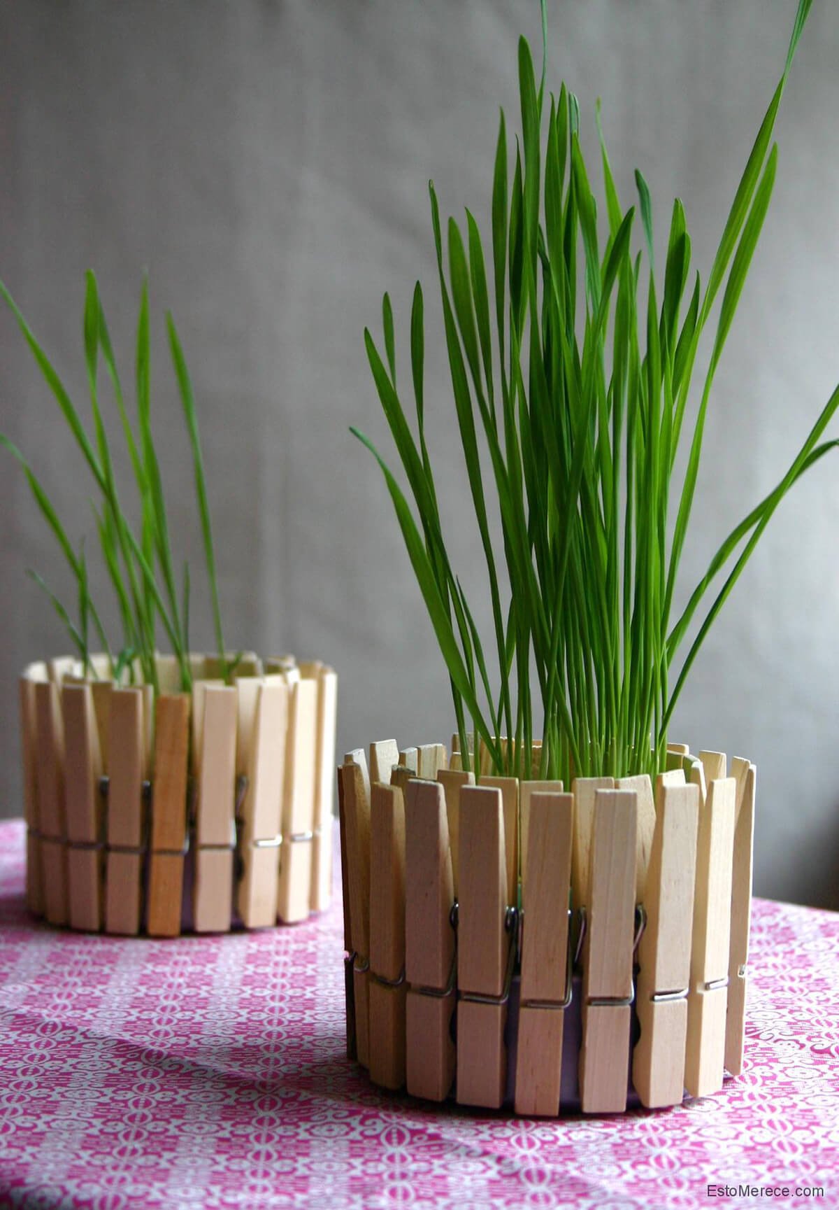 Decorative Grass with Clothespin Fence