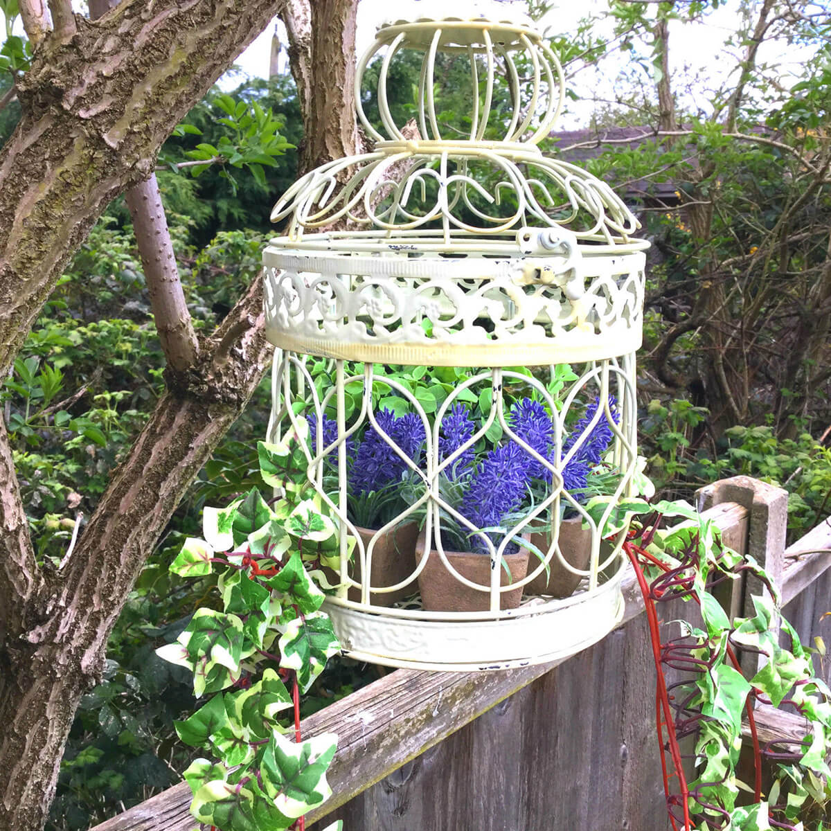 Hyacinths in a Birdcage with Vines
