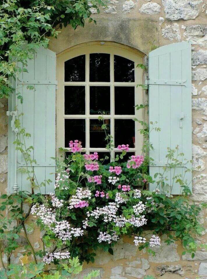 Overflowing Window Boxes with Tall Flowers