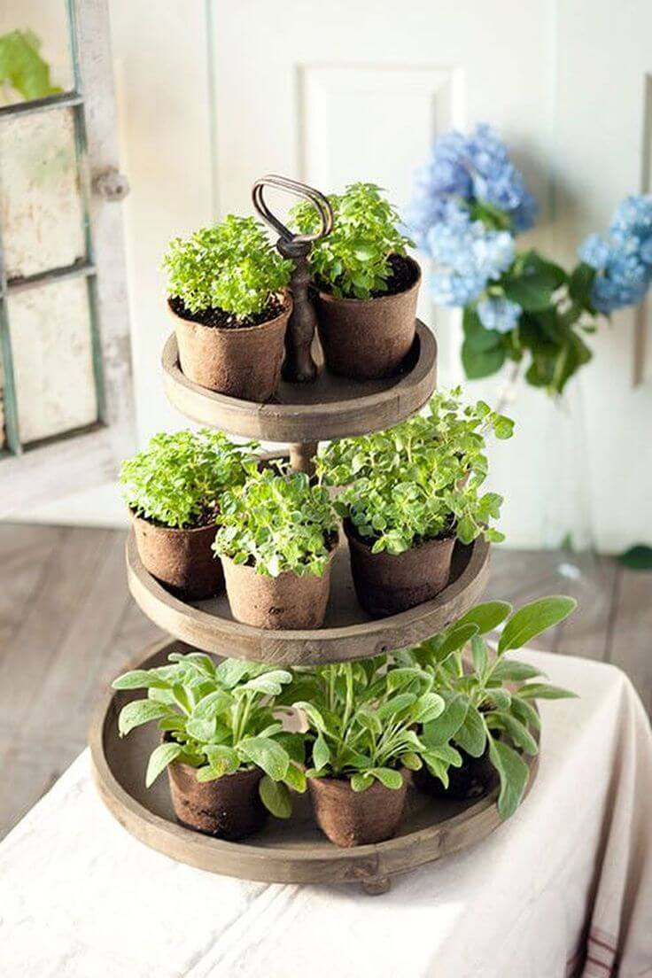 Tiered Natural Wood Herb Garden Trays