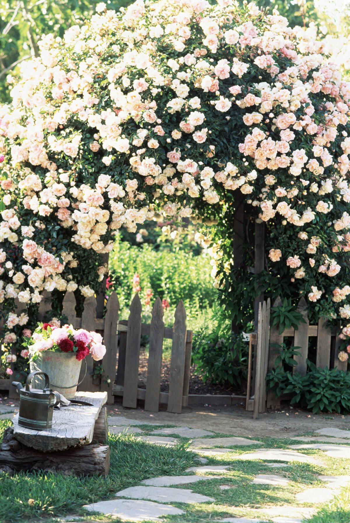 garden cottage roses arch overflowing designs paths homebnc