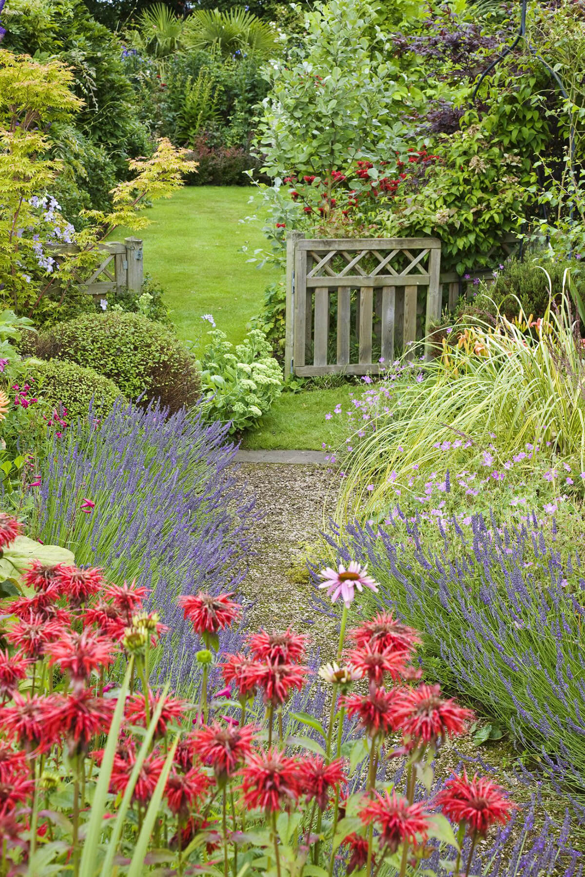 Curved Path with Tall Flowers