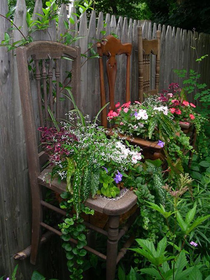 Antique Chairs with Lush Shade Plants