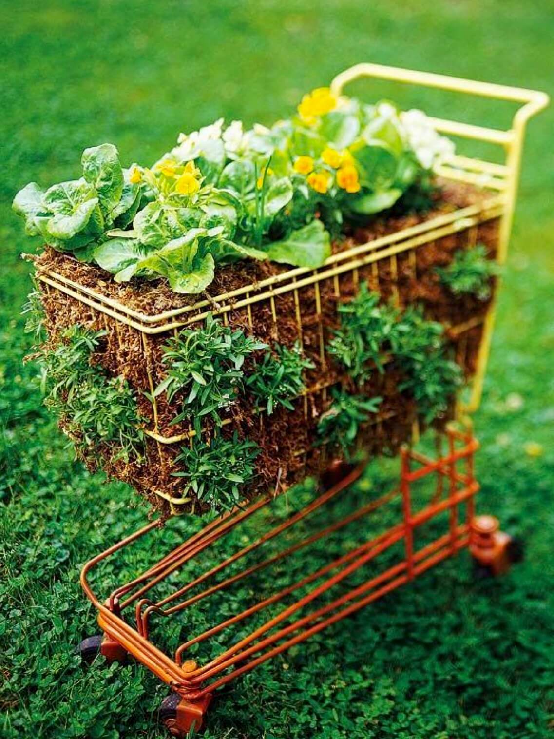 33 Best Repurposed Garden Container Ideas And Designs For 2020