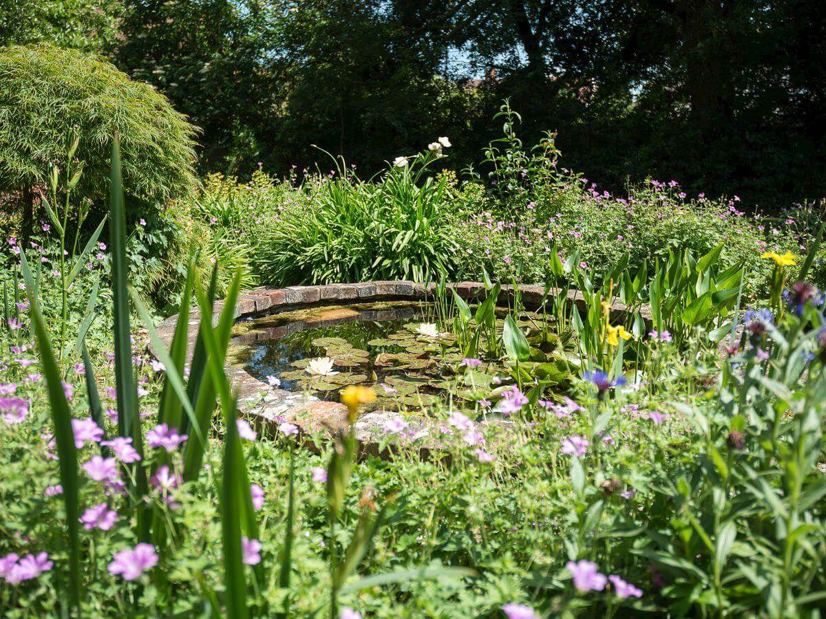 Circular Lily Pond with Tall Plants