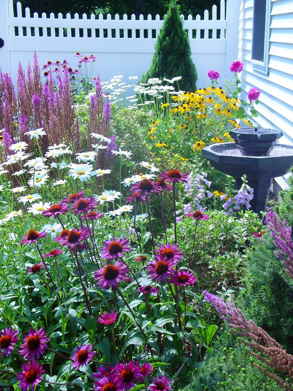 Border with Three Colors of Daisies