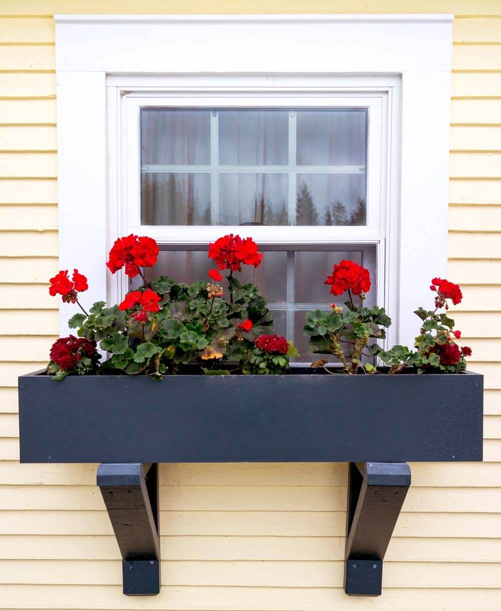 Window Boxes Planters