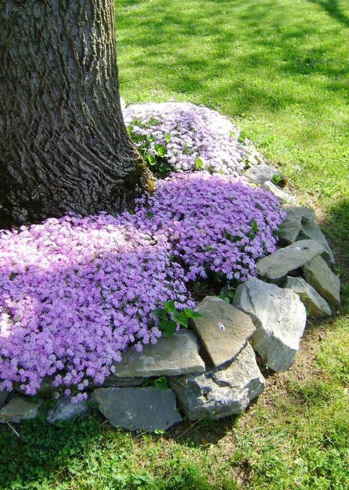 bloemen en natuurstenen rond een boom