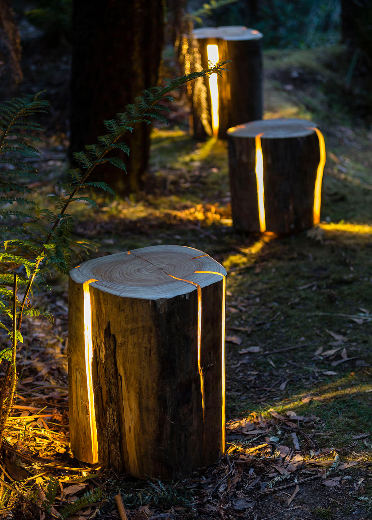 Unique Magical Log Landscape Lights