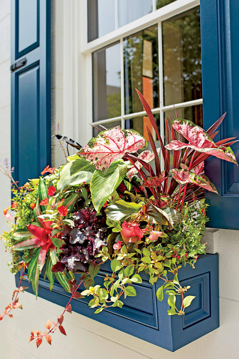 Vibrant Blue Crown Moulding Window Box