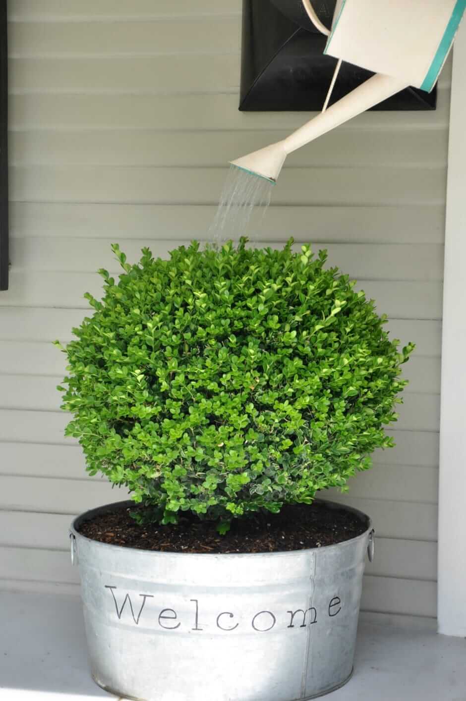 Cute metal Planter cu udare poate