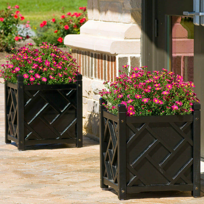 Grassetto Portico Seminatrice di Idee con i Fiori Rosa