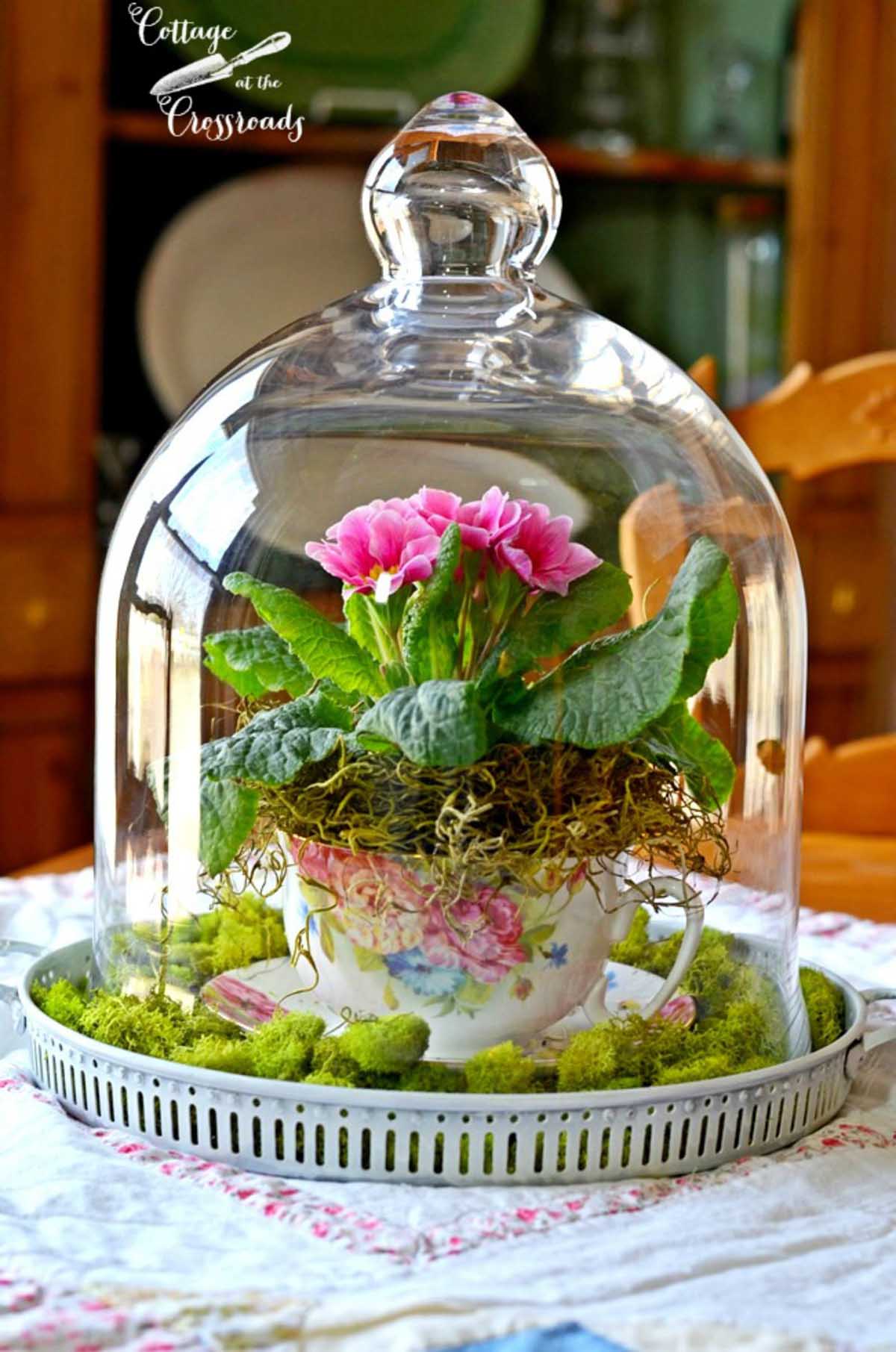 Elegant China Teacup with Blown Glass Terrarium