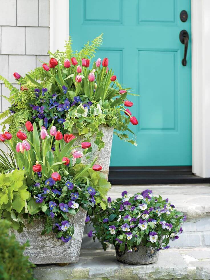 Betonpflanzgefäße mit blühenden Tulpen und Stiefmütterchen