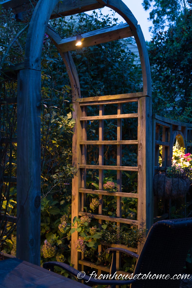 Subtle Lights Hanging from an Arbor