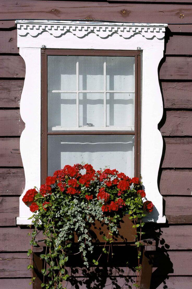 Invisible Flower Box in Decorative Window Frame