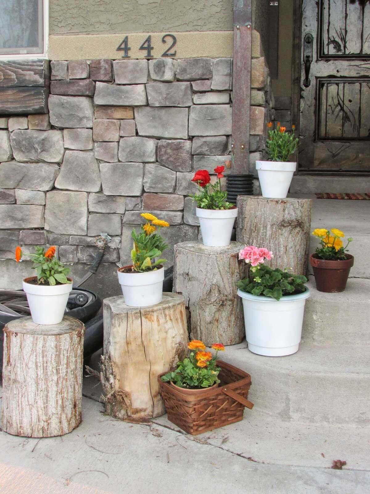 Plant Pots Set on Rustic Stumps