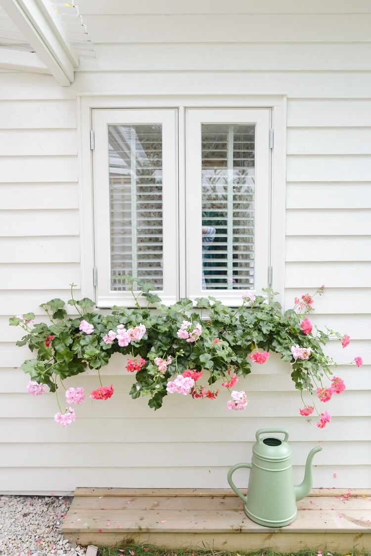 Subtle White Window Box With Cascading Flowers