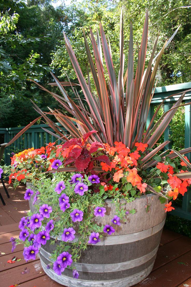 Oversized Barrel Planter with Grasses and Petunias