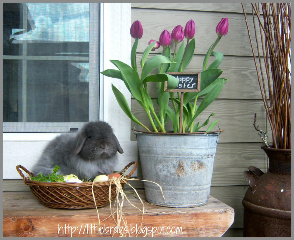 Bloeiende Tulpen in een Oude Emmer met Bunny